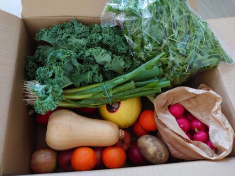 フードロス削減サービス（ODD BOX, Too Good to Go)